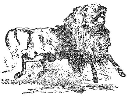 An ass wearing a lion skin proudly enters a frightened village.