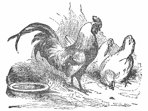 A bright cock discovers a luminous pearl among the farmyard straw.