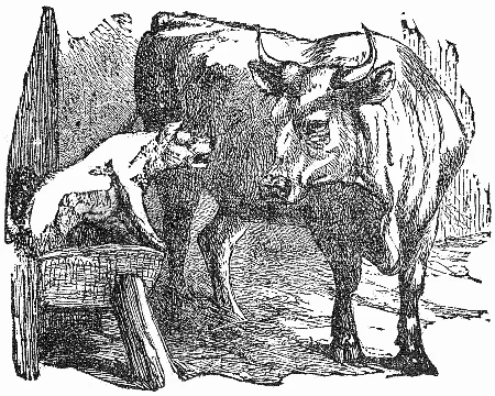 A dog lies in an ox’s straw-filled manger.
