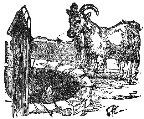 A fox looks up from a well as a curious goat peers over the rim.