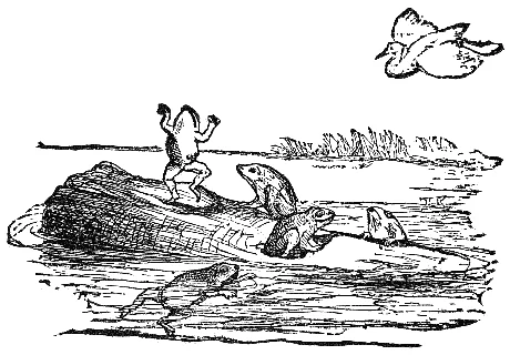 A crowd of frogs gathers around a great log newly fallen into their swamp.