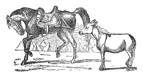 A richly harnessed horse and a burdened ass travel along a road.