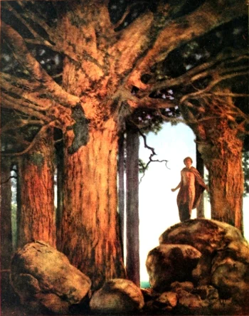 Jason listens to the speaking oak before his voyage in Maxfield Parrish’s 1910 illustration.