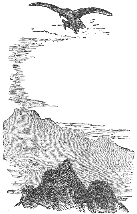 An eagle carries a tortoise high above a rocky landscape.